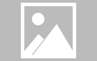 澧县绥化网站搭建公司有哪些（信息网绥化）