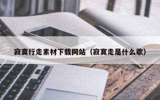 澧县寂寞行走素材下载网站（寂寞走是什么歌）